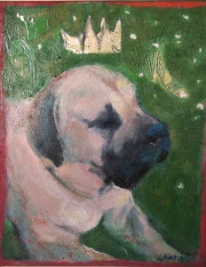Dogo